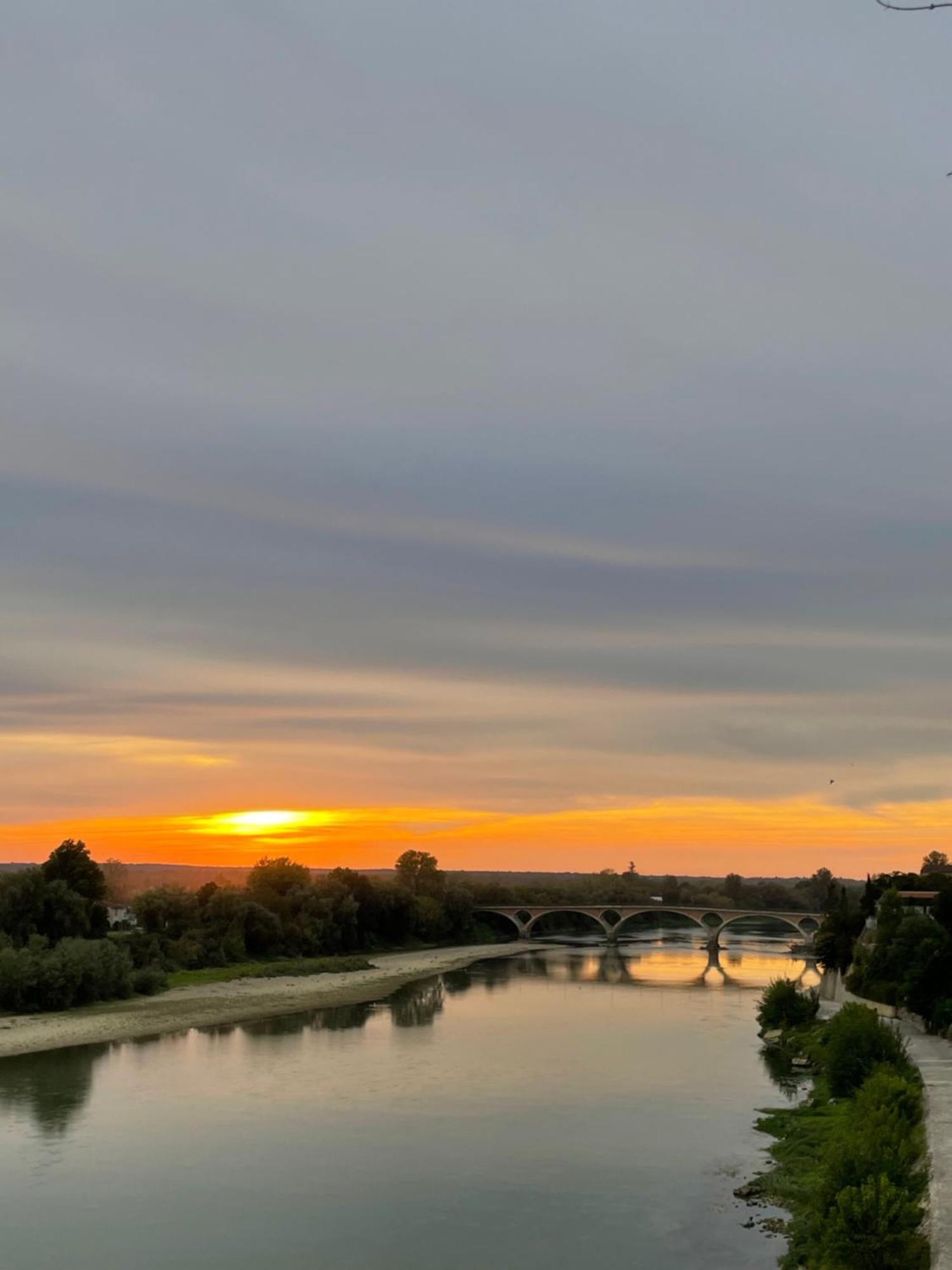 Hotel Restaurant Cote Garonne Le Balcon Des Dames - Tonneins Fauillet Marmande - Vue Panoramique Bord De Garonne Chambres Climatisees Exteriér fotografie